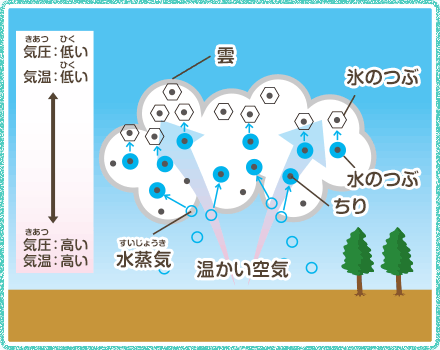 思い込みと誤解